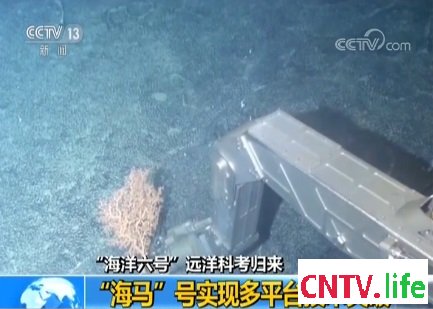 “海洋六号”远洋科考归来:“海马”号实现多平