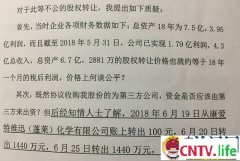 专家研讨山东烟台一化工企业股权疑被贱