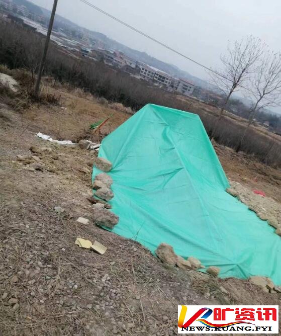 有钱就嚣张任性？！原上市公司董事长强占耕地
