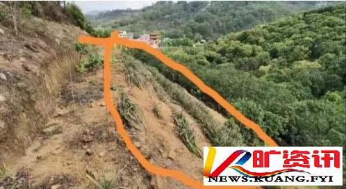 国家多部门合力守护林草资源，观音山原始次森