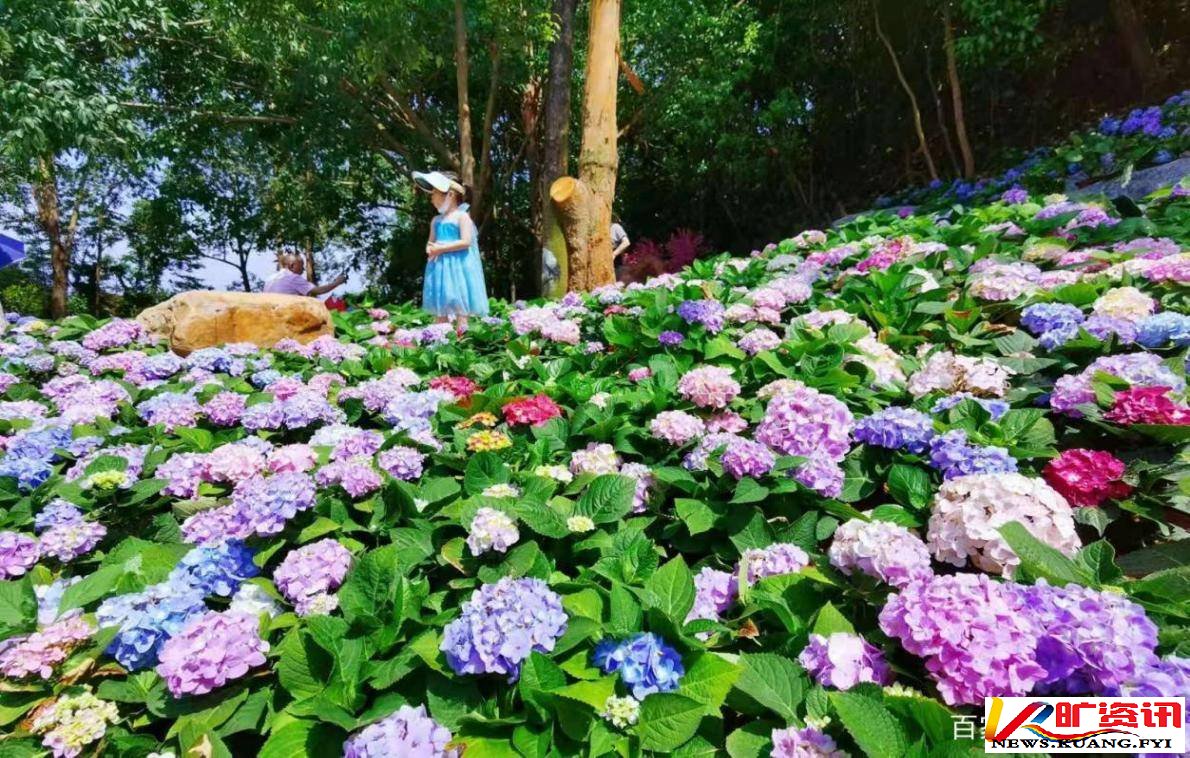 乡村振兴怎么干？黄淦波:观音山文旅要争当标杆