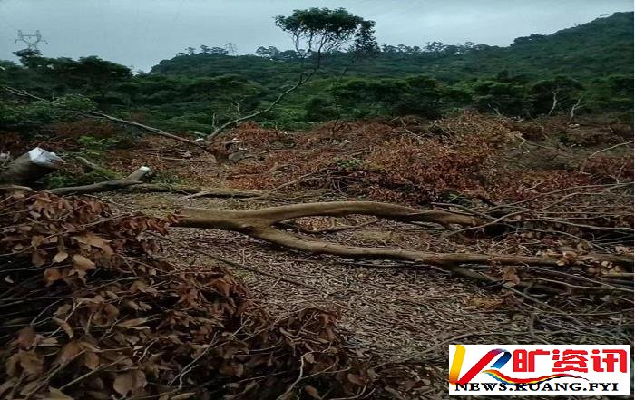 网友喊话东莞市检察院:拒不立案,公开对抗国