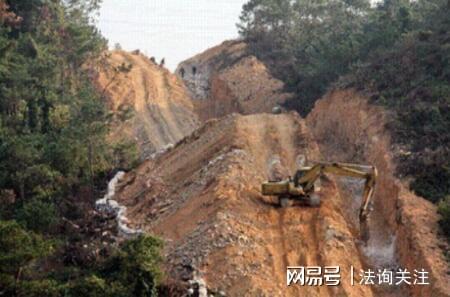 奇！制约打压国家森林公园，林业局五任局长各显花招