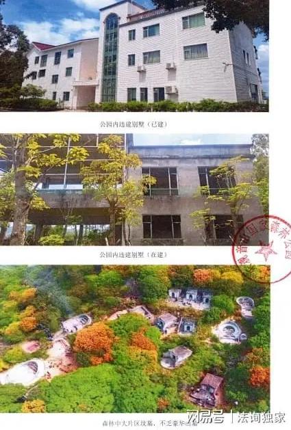 全国人大代表和东莞市检察长沈丙友开展巡林工
