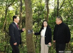 全国人大代表和东莞市检察长沈丙友开展