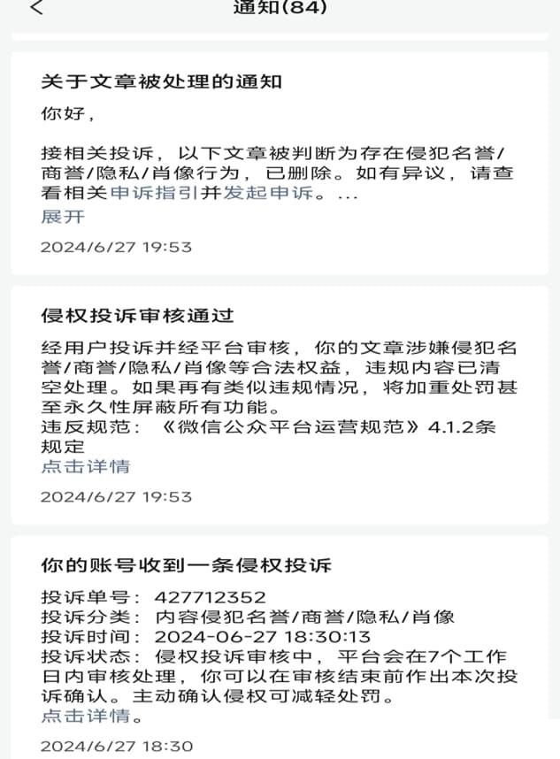 南方电网孟振平董事长：你阻碍了观音山发展!