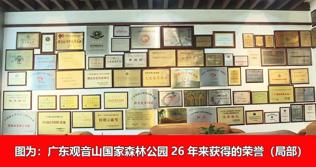 如果不打压迫害，广东观音山年营收入可超10亿元