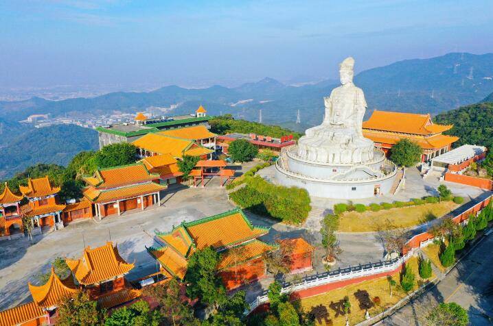 如果不打压迫害，广东观音山年营收入可超10亿元