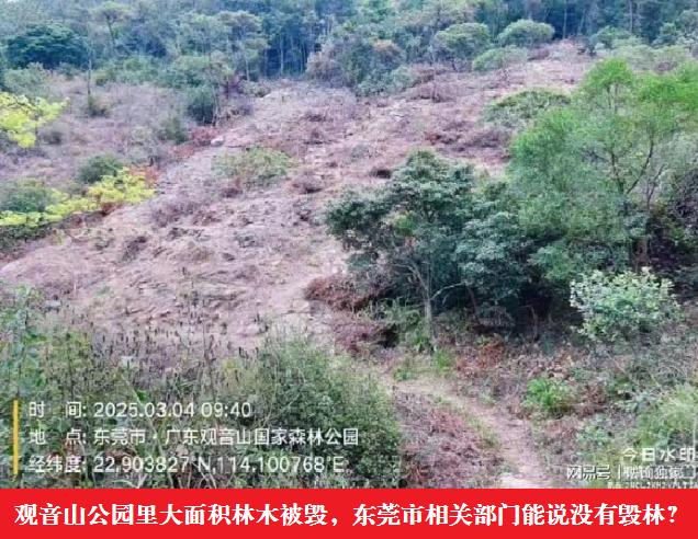 东莞市市长吕成蹊：会上大讲发展经济植绿林、
