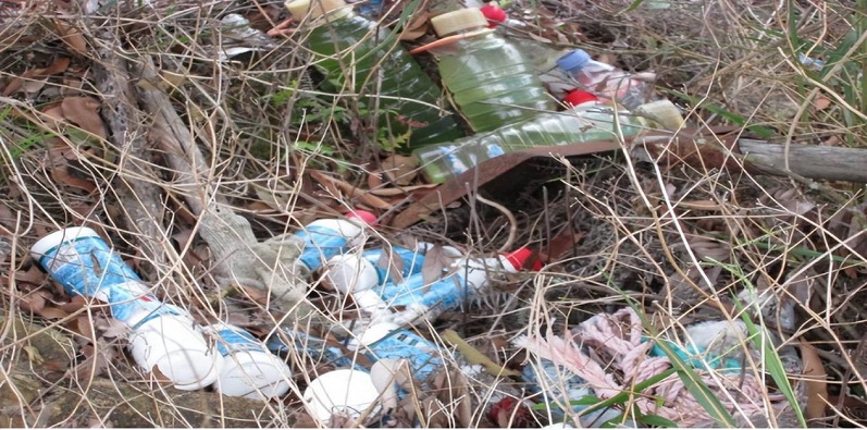 观音山向中央巡视组反映情况，东莞市四部门回