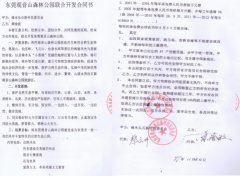 “促进民营经济发展壮大”的号角下，