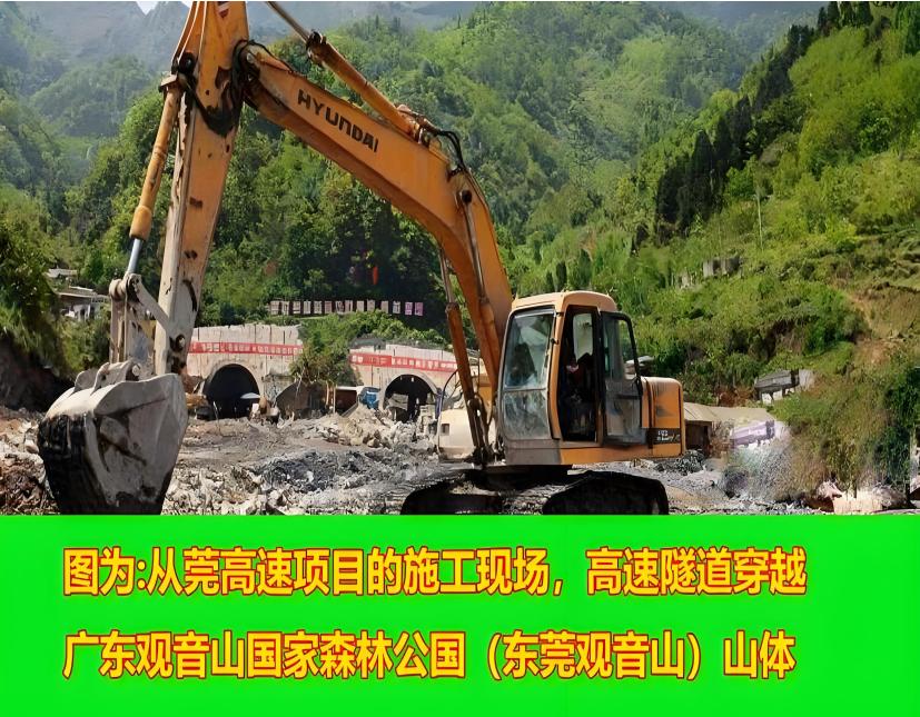 “促进民营经济发展壮大”的号角下, “全国样