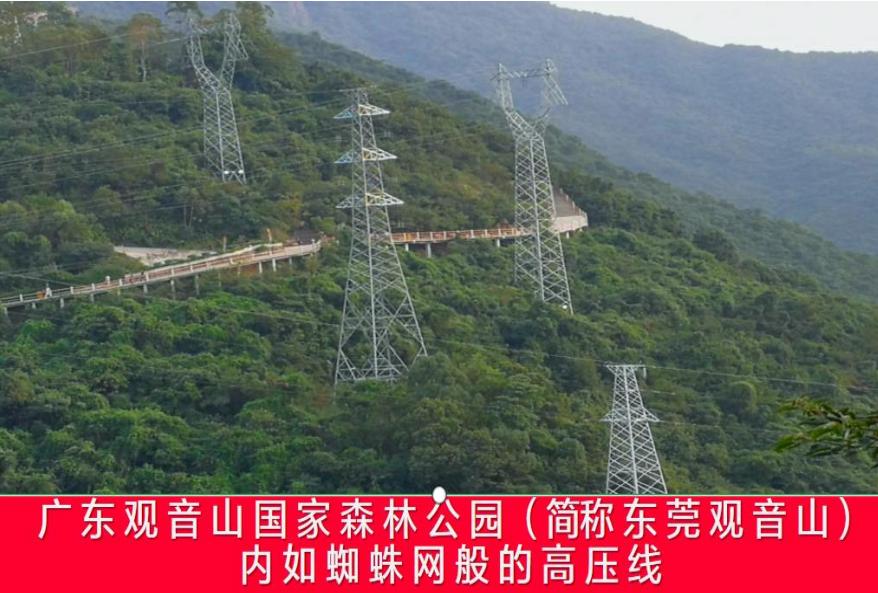 “促进民营经济发展壮大”的号角下, “全国样