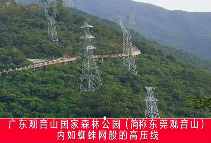 广东观音山森林公园内违反多种法规,存在多重