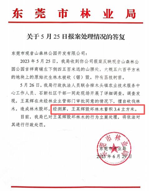毁林千亩、维权廿载：一座民营国家级森林公园