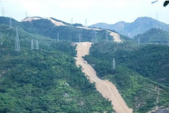 毁林千亩、维权廿载：一座民营国家级森林公园