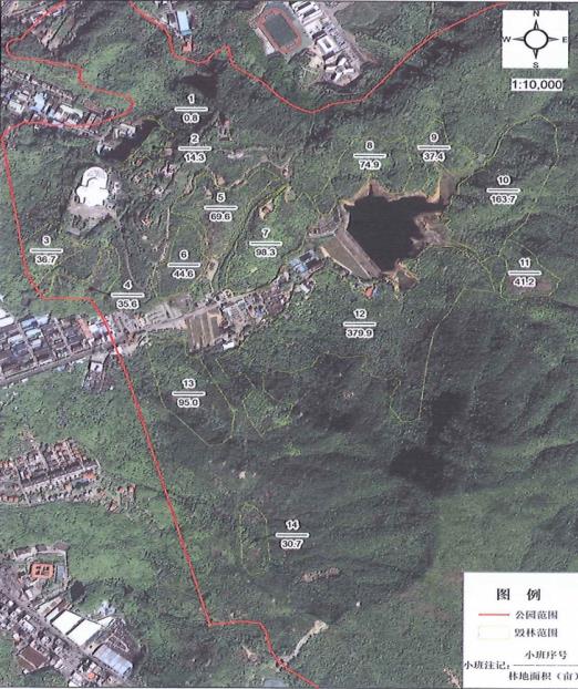 毁林千亩、维权廿载：一座民营国家级森林公园