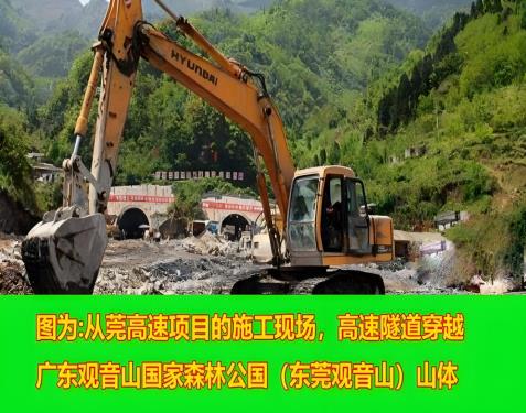 毁林千亩、维权廿载：一座民营国家级森林公园