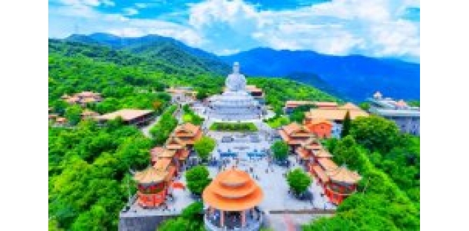 毁林千亩、维权廿载：一座民营国