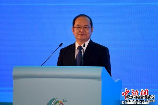 鹿心社：着力推动国际陆海贸易新通道建设