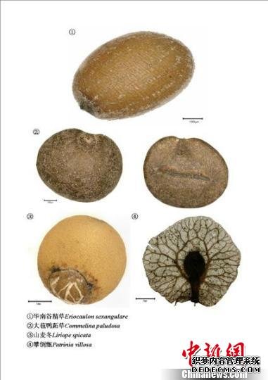 沪昆携手探索中国植物多样性保护全新合作模式