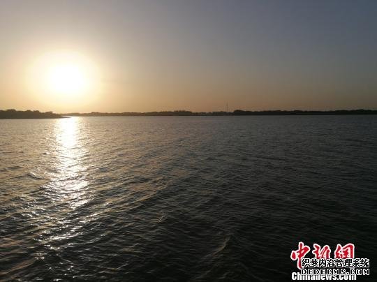 河北衡水环衡水湖造林10余万亩成景观防护林带