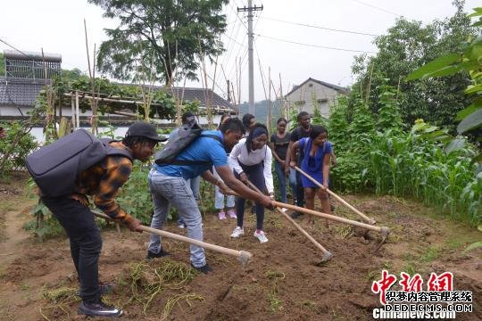 感知中国发展 浙江新农村“圈粉”国际学生